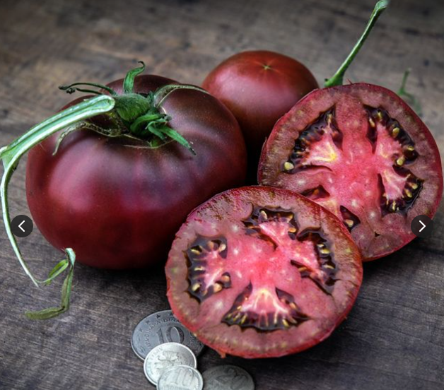 Black from Tula Tomato