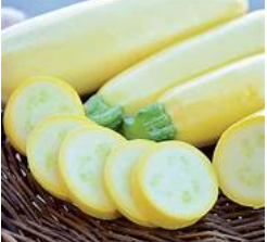 Chiffon Yellow Summer Squash