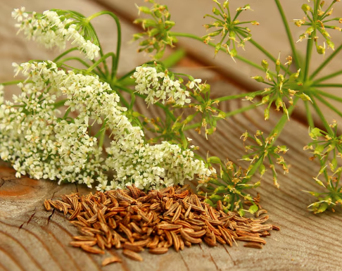 Cumin