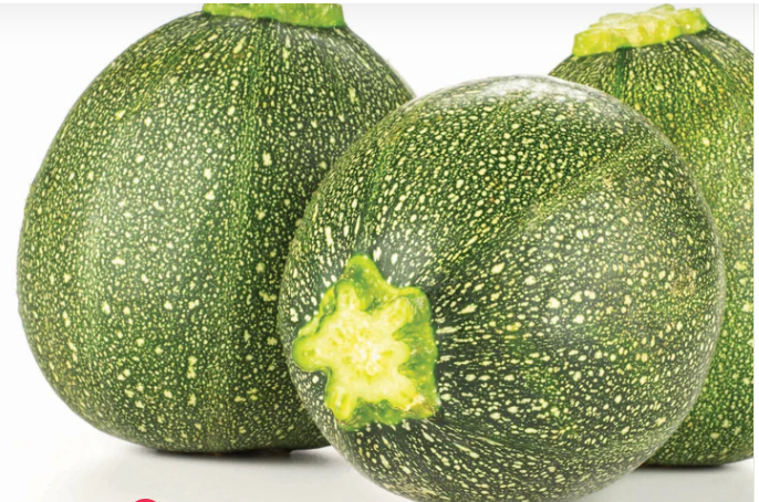 Eight Ball Zucchini (Round Zucchini)