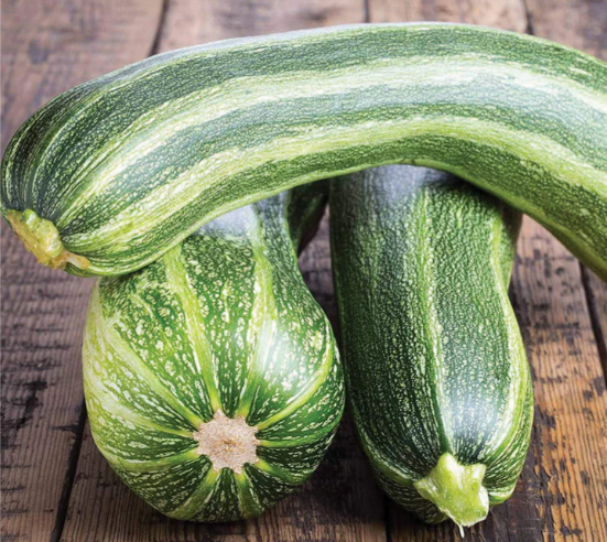 Italian Striped Zucchini