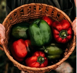 Starter Box: Classic Garden Favorites