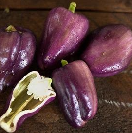 Lilac Bell Sweet Pepper