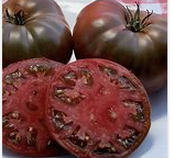 Paul Robeson Tomato