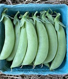 Cascadia Sweet Pea Seeds