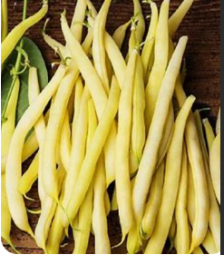 Pencil Pod Yellow Wax Bean Seeds