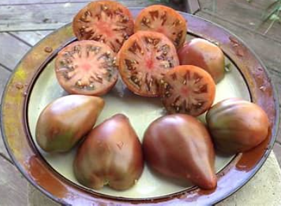 Purple Heart Tomato (Dwarf Tomato Plant)