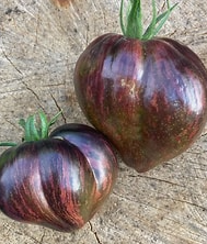 Rebel Starfighter Prime Tomato