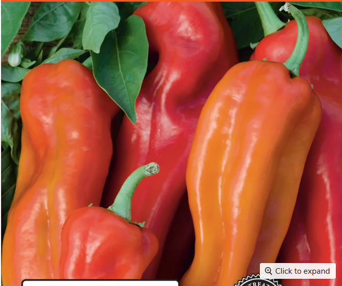 Sweet Red Grilling Pepper