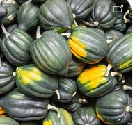 Table Queen Acorn Squash