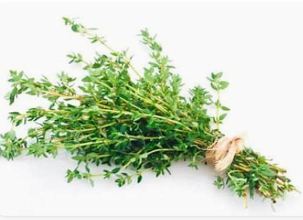 Thyme