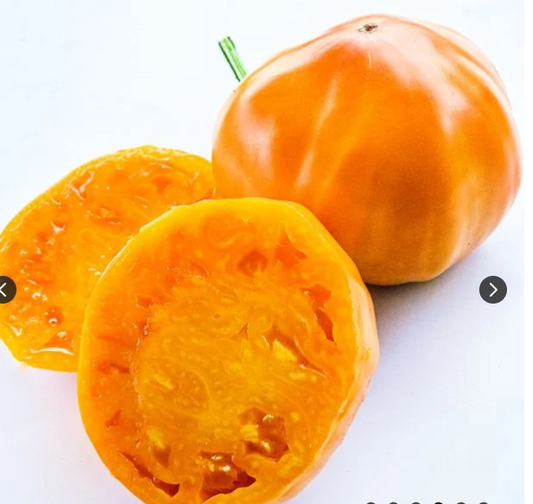 Dr. Wyche's Yellow Tomato