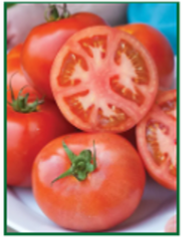 Starter Box: Classic Garden Favorites