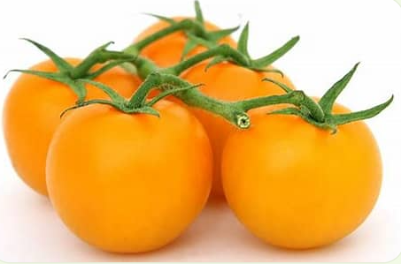 Golden Jubilee Tomato