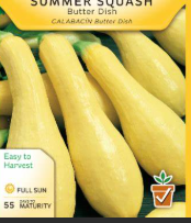 Butterdish Summer Yellow Squash