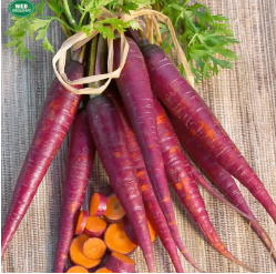 Cosmic Purple Carrot Seeds