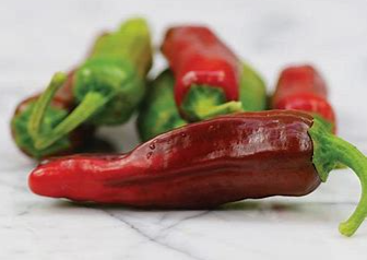 Pepperoncini Italian Hot Pepper
