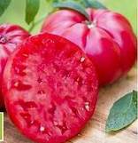 Micado Violetter Tomato