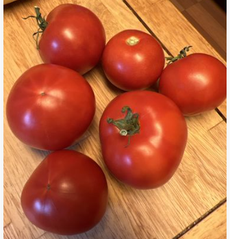 New Yorker Tomato