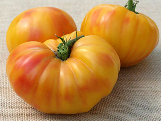 Oaxacan Jewel Tomato