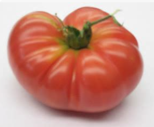 Oaxacan Pink Tomato