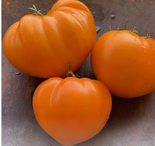 Orange Strawberry Tomato