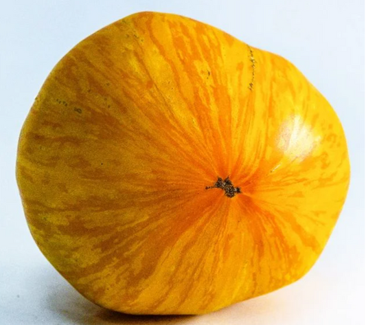 Porkchop Tomato