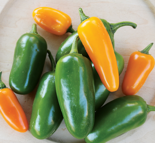 Pumpkin Spice Jalapeno Pepper