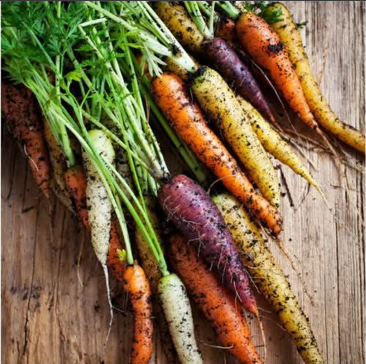 Rainbow Blend Carrot Seeds