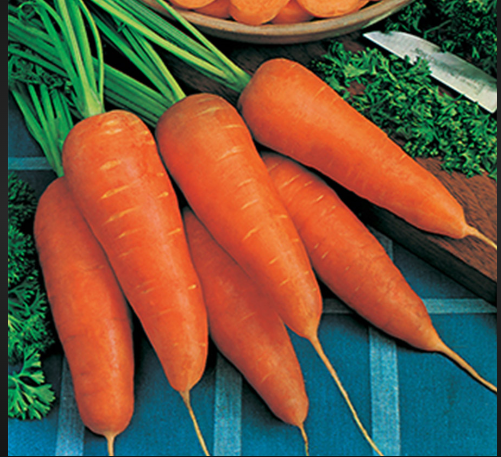 Red Core Chantenay Carrot Seeds