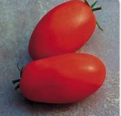 Roma Supremo Tomato