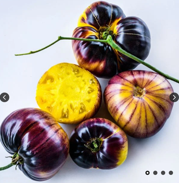 Sart Roloise Tomato
