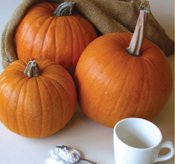 Small Sugar Pumpkin