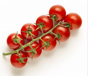 Starter Box: Classic Garden Favorites