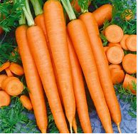 Starter Box: Classic Garden Favorites