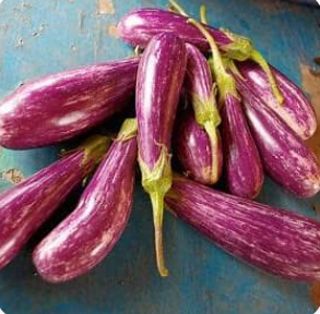Togo Eggplant