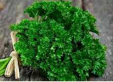 Triple Curled Parsley