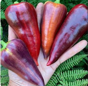 Violet Sparkle Sweet Pepper