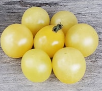 White Cherry Tomato